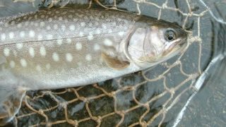 釣りをやめるサイン