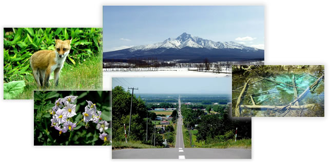 北海道・道東地域の観光映像ライブラリのご利用についてもお気軽にお問い合わせください。
